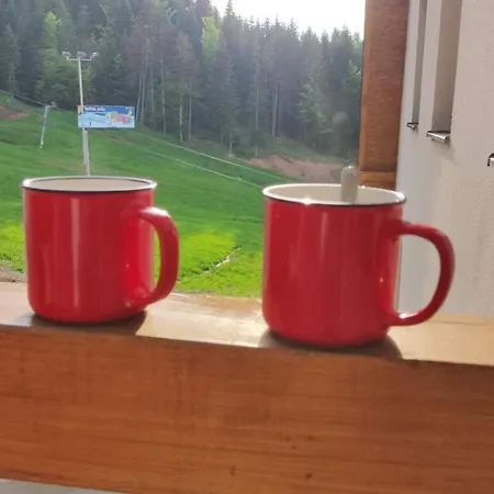 Apartment Diego - Ravna Planina *